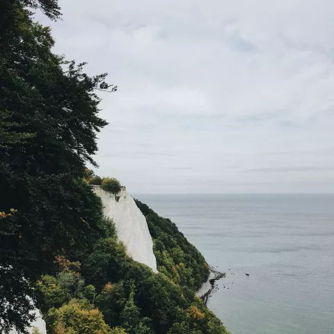 Heilkreide
